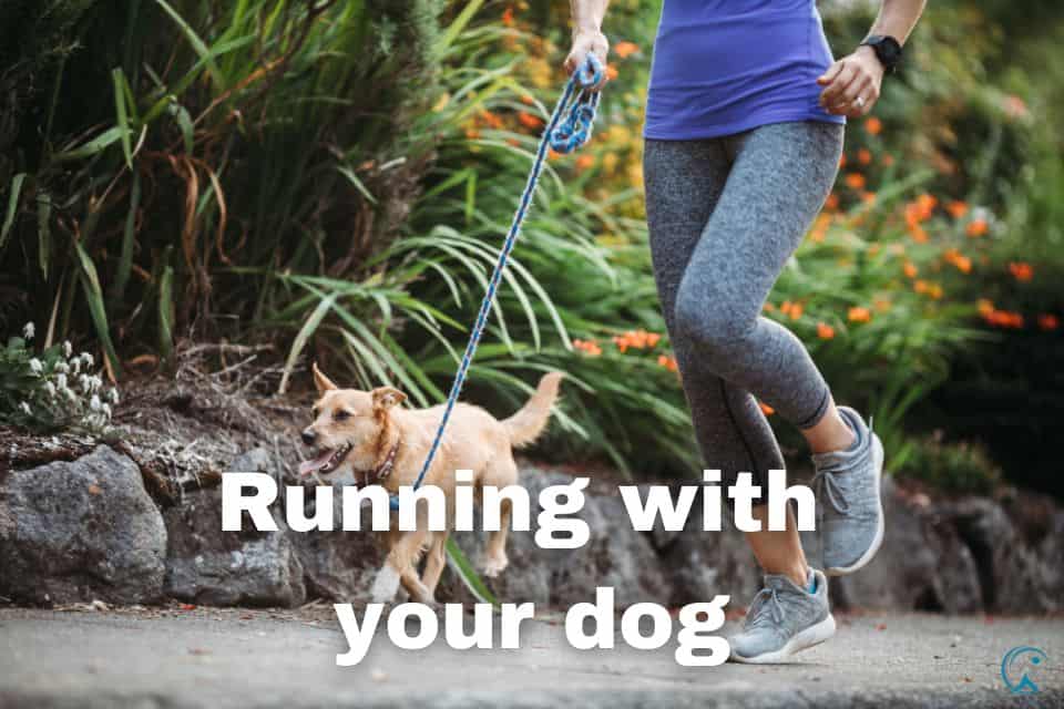 How to Run with Your Dog and Have Fun