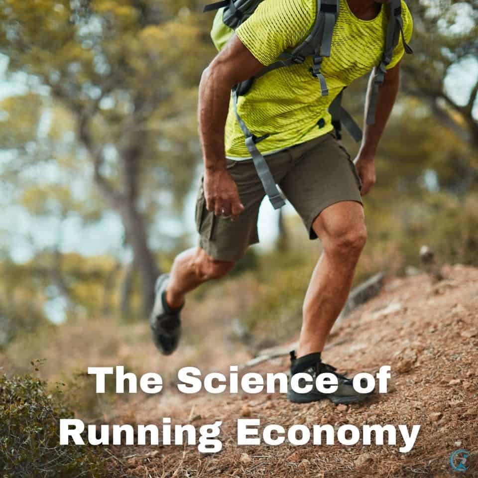 Muscle Strength and Endurance in the science of running economy