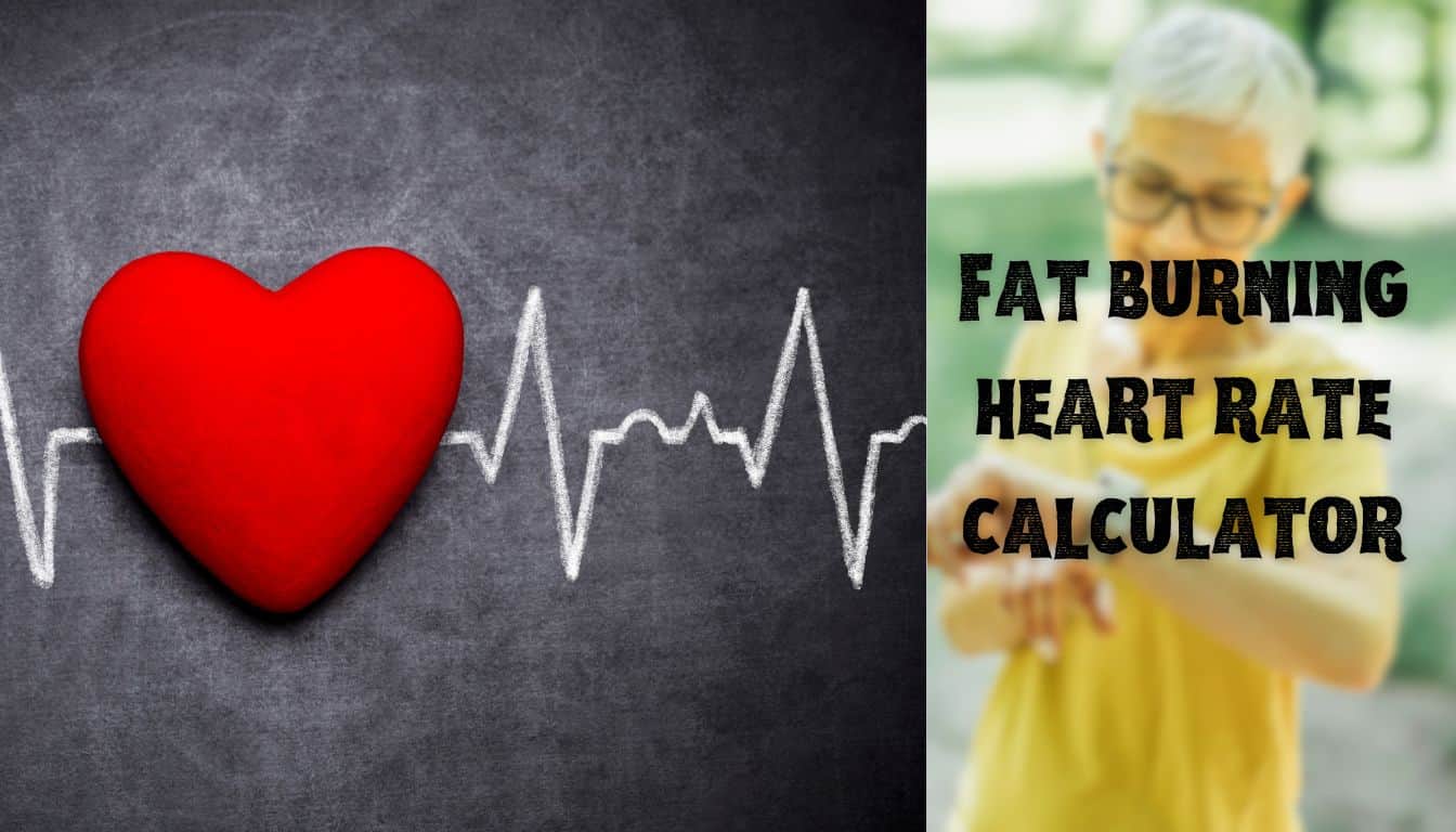 Fat Burning Heart Rate Calculator Unlock Your Optimal Cardio Effort