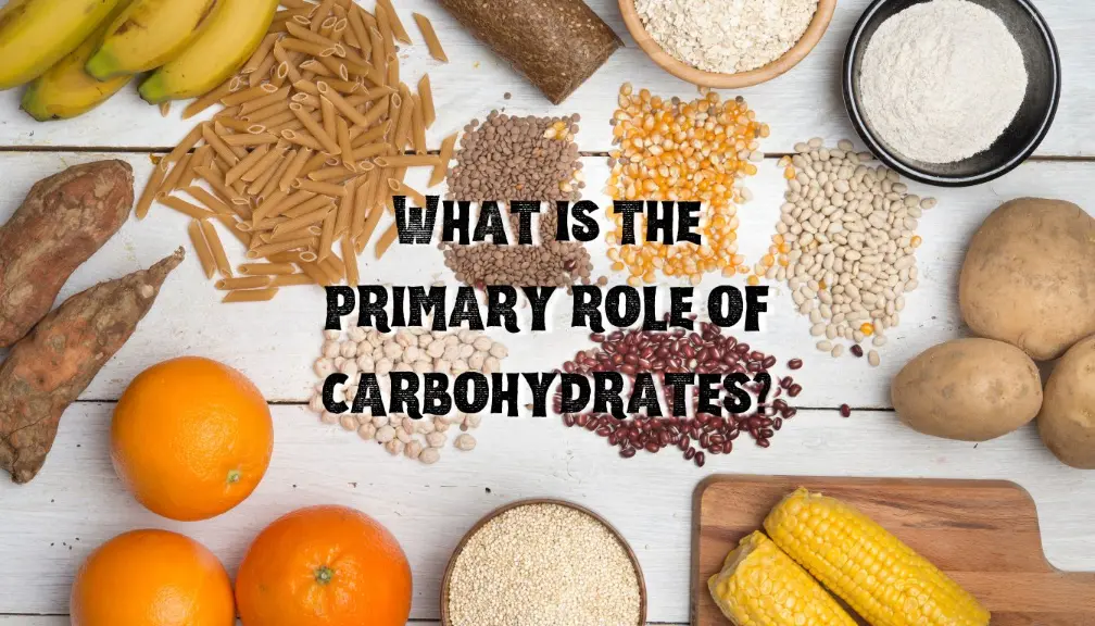 What is the primary role of carbohydrates?