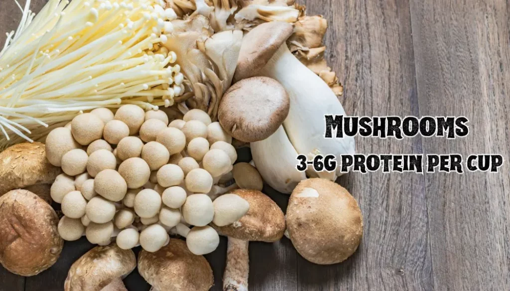 Mushrooms - Top 8 Protein Sources for Vegetarians