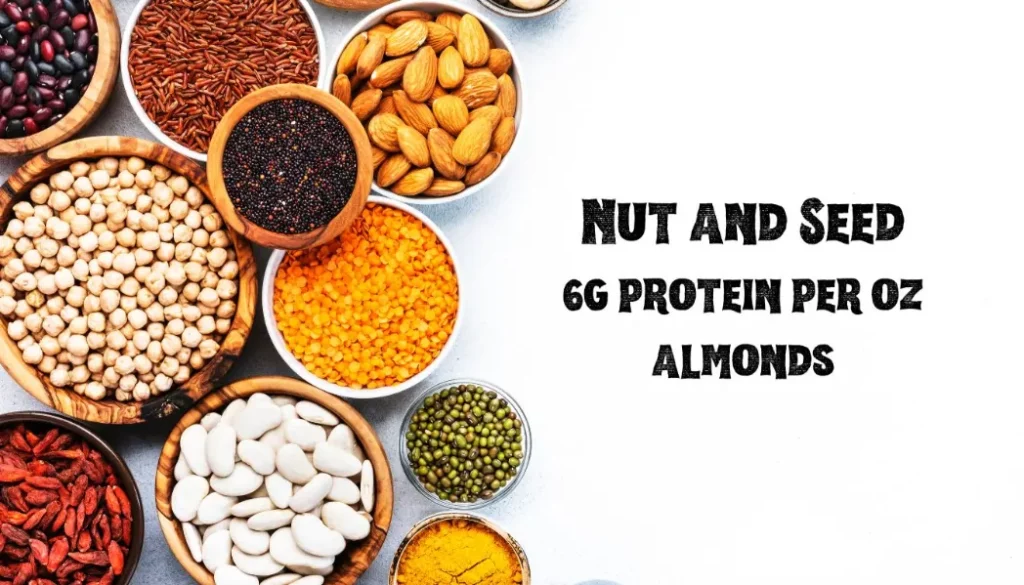 Nut and Seed - Top 8 Protein Sources for Vegetarians
