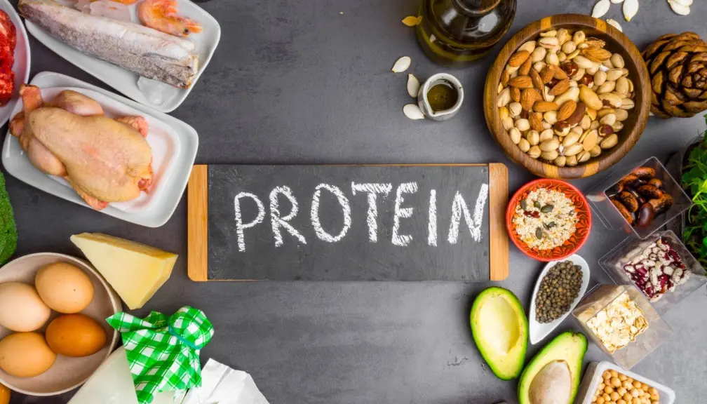 How Much Protein Is Truly Necessary?