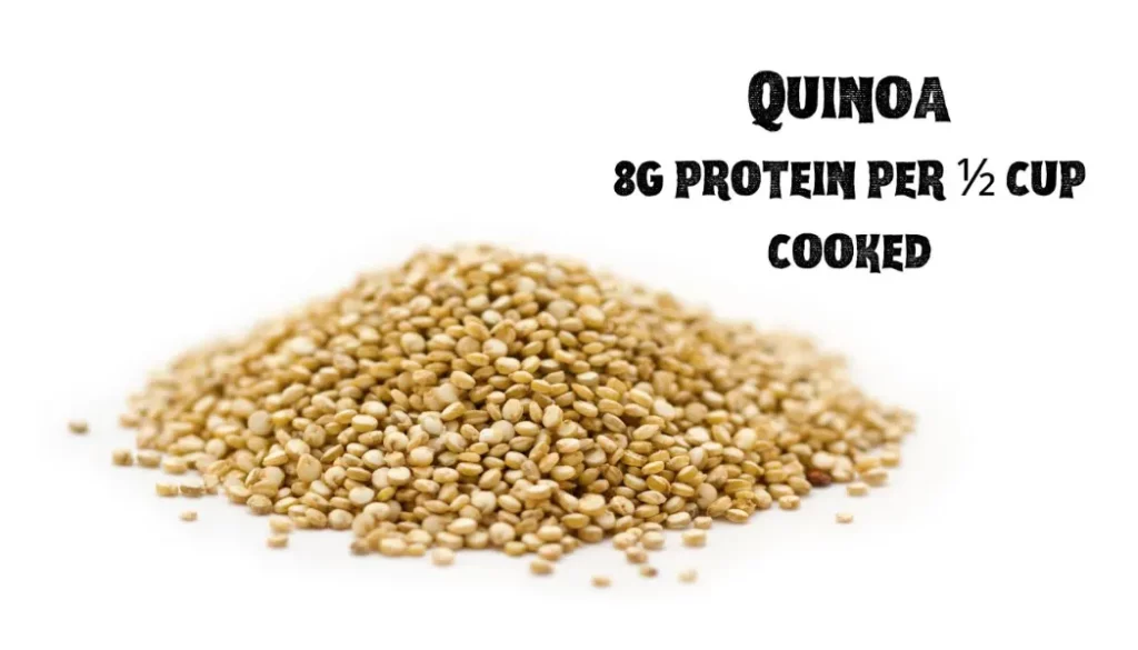 Quinoa - Top 8 Protein Sources for Vegetarians