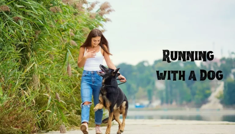 Running with a Dog Tips: Unleash the Joy and Run Happy with Your Pup