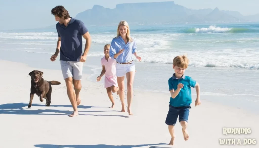 The whole family is running on the beach along with their dog