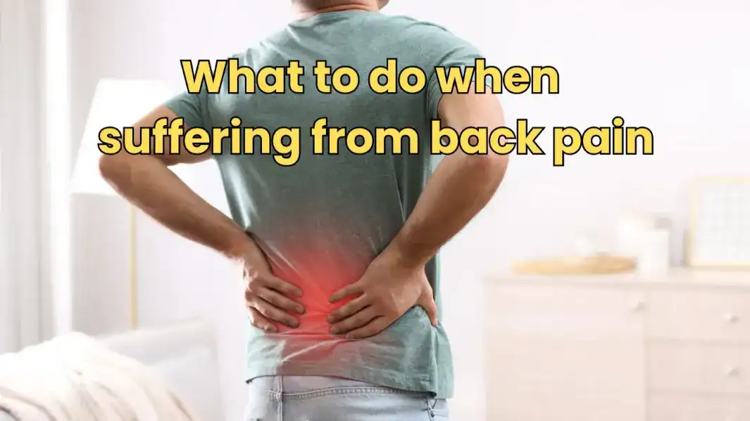 7 Back Pain Relief Tips: Best Postures & Exercises (2026)