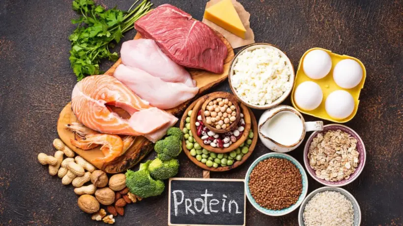 High density protein foods