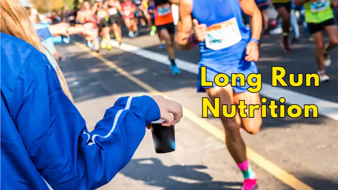 Long Run Nutrition Guide 2026: Fueling & Strategy