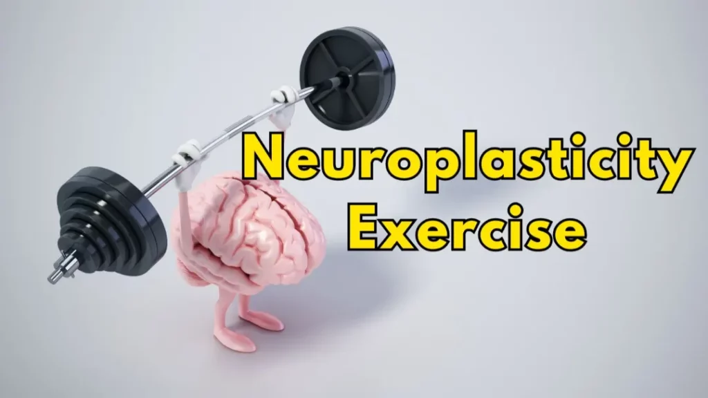 Neuroplasticity Exercise Connection: Rewire Your Brain Through Fitness