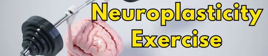 Neuroplasticity Exercise Connection: Rewire Your Brain Through Fitness
