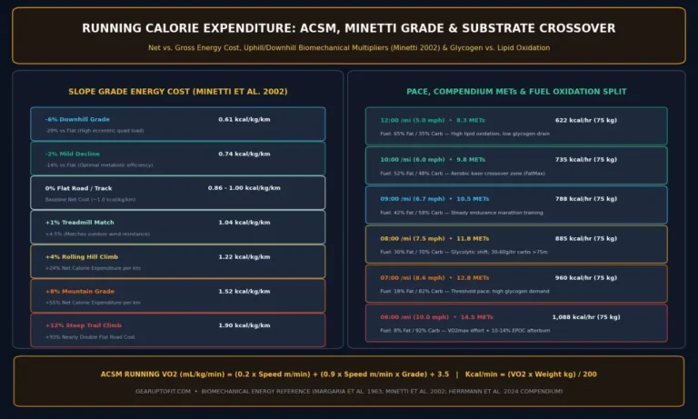 Running Calorie Calculator: Net vs. Gross, Incline & Fueling Lab